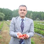 İzmit Belediyesi Başkan Yardımcısı Lütfü Obuz Çilekköy’de incelemelerde bulundu